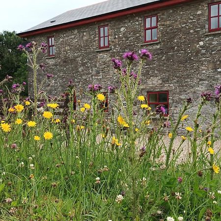Villa The Old Mill, Kilcorkey, Bellanagare, Castlerea, County Roscommon - West Of Ireland -House 1 Exterior foto